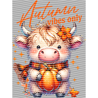 autumn-QT 78